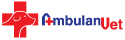 Ambulanvet