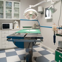 Cirugías con anestesia inhalatoria monitorizada